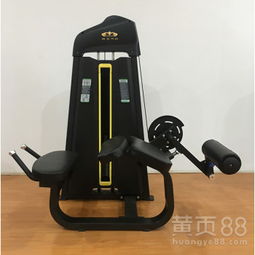 掌握要領，安全高效 商用健身器材坐姿腿屈伸訓練器詳解